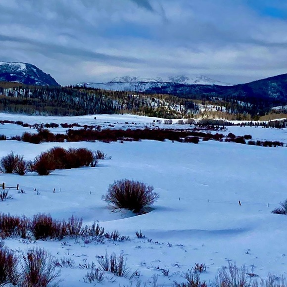 FUN, unique, high quality items for the right price to add country flair! - Picture 4 of 6